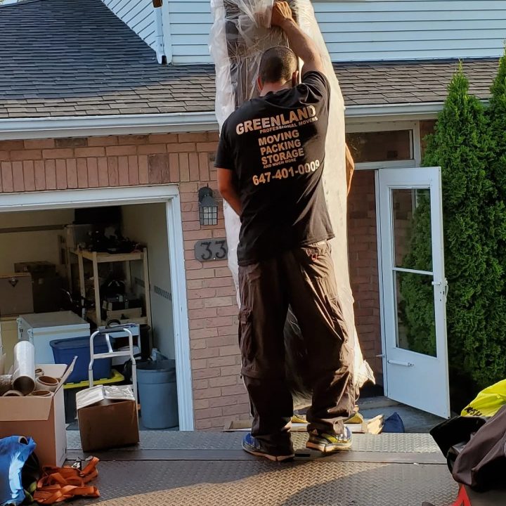 photo 2026 01 12 14 21 48